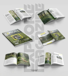 Work 2, Freelance Digital Marketer in Calicut